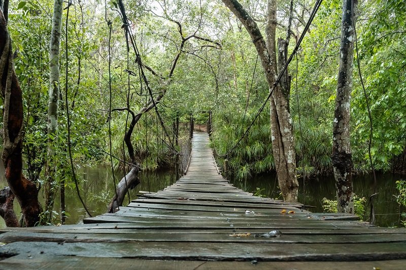 da ban stream phu quoc