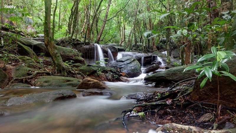 Suối tranh phú quốc có gì đẹp