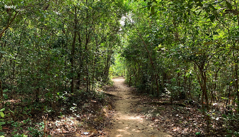 da ban stream phu quoc