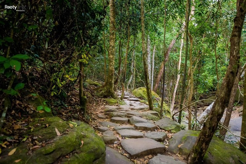 Phu Quoc Tranh waterfall