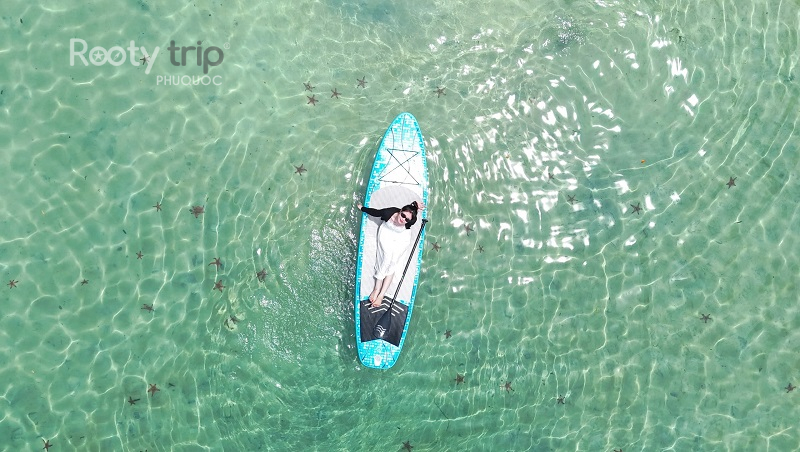 mũi hàm rồng rạch vẹm