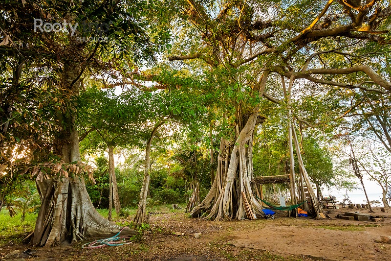 Hòn Một Phú Quốc có gì chơi