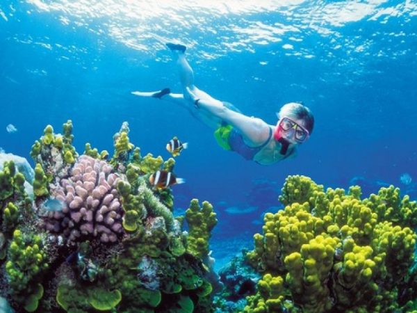 đi bộ dưới đáy biển lặn ngắm san hộ