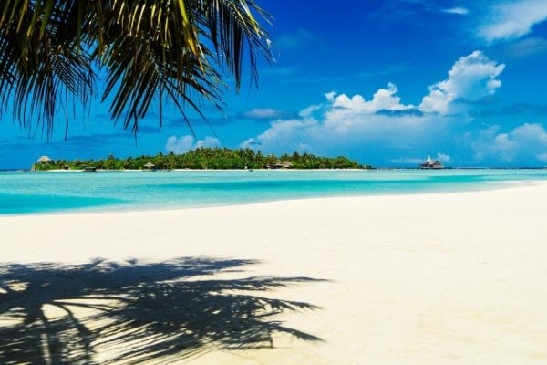 lạc lối ở bãi sao
