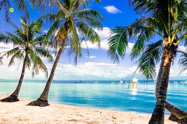 Phú Quốc trở thành tâm điểm của du lịch Việt Nam 8 lý do đưa phú quốc trở thành tâm điểm của du lịch Việt Nam