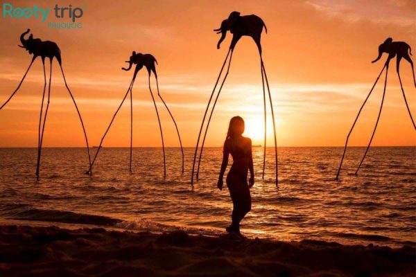 Ngắm hoàng hôn ở Bãi Trường