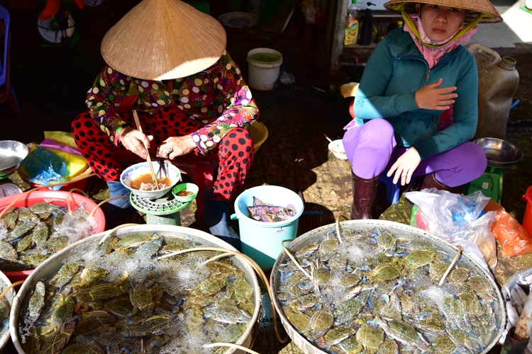 Ghẹ tươi là mặt hàng luôn có tại chợ Dương Đông Phú Quốc