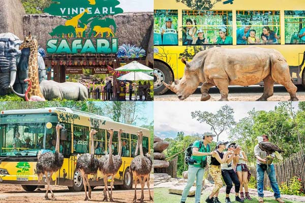 Review vườn thú Vinpearl Safari Phú Quốc chi tiết từ A-Z