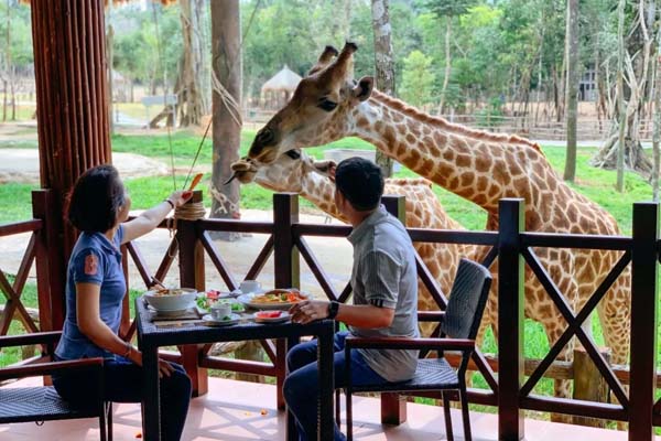 bạn có thể cho thú ăn tại nhà hàng giraffe