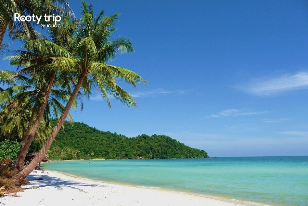 Sao Beach - One of the most beautiful beaches in Vietnam - Rooty Trip Phu Quoc