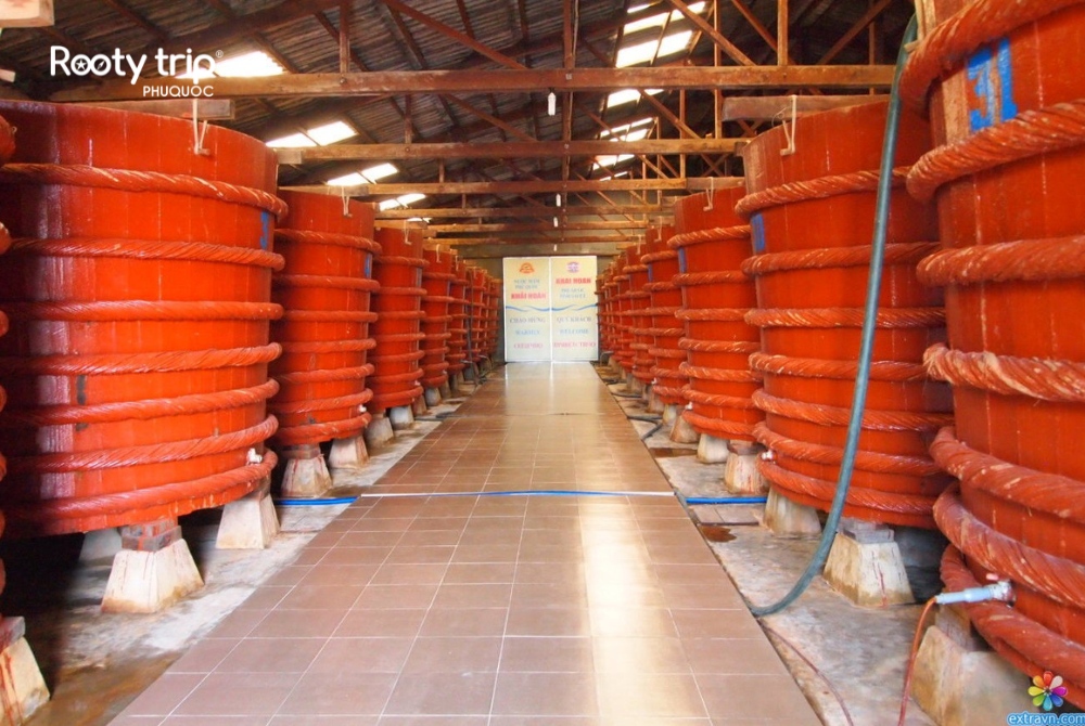 Get an inside look at how Phu Quoc fish sauce is made - Rooty Trip Phu Quoc