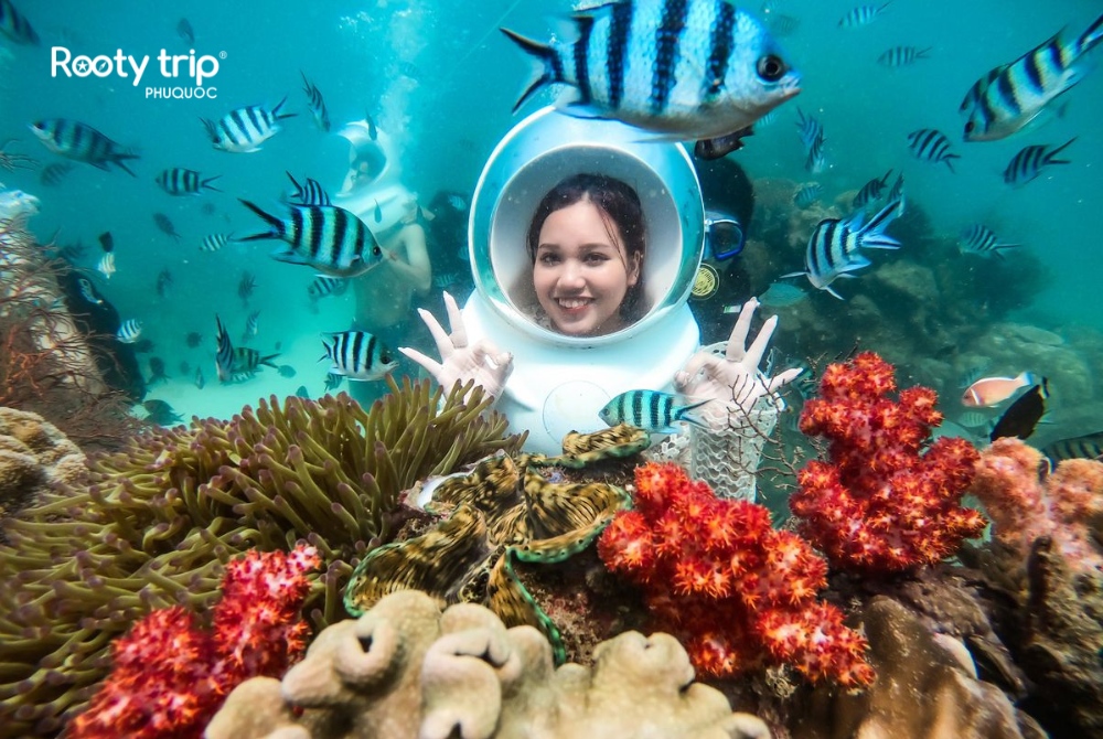 You can explore hundreds of corals with Seawalker (Optional service) - Rooty Trip Phu Quoc