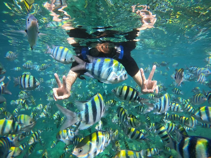 tour 3 đảo phú quốc