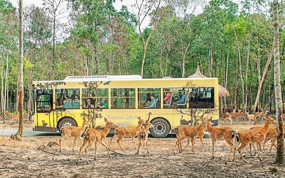 vinpearl safari phu quoc ticket