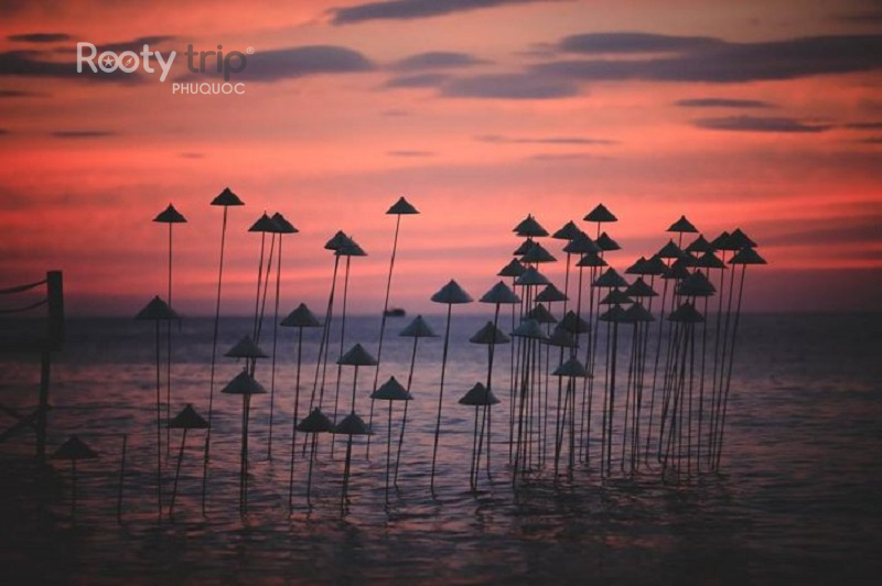vé vào cửa Sunset Sanato Phú Quốc