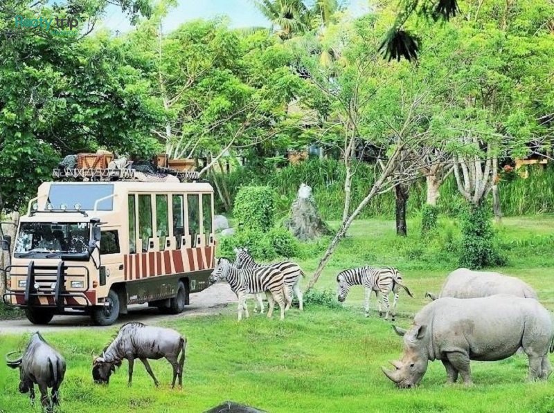 vé vinpearl safari phú quốc