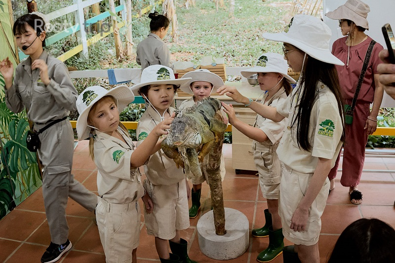 Chơi gì ở gần Huyền thoại Tre