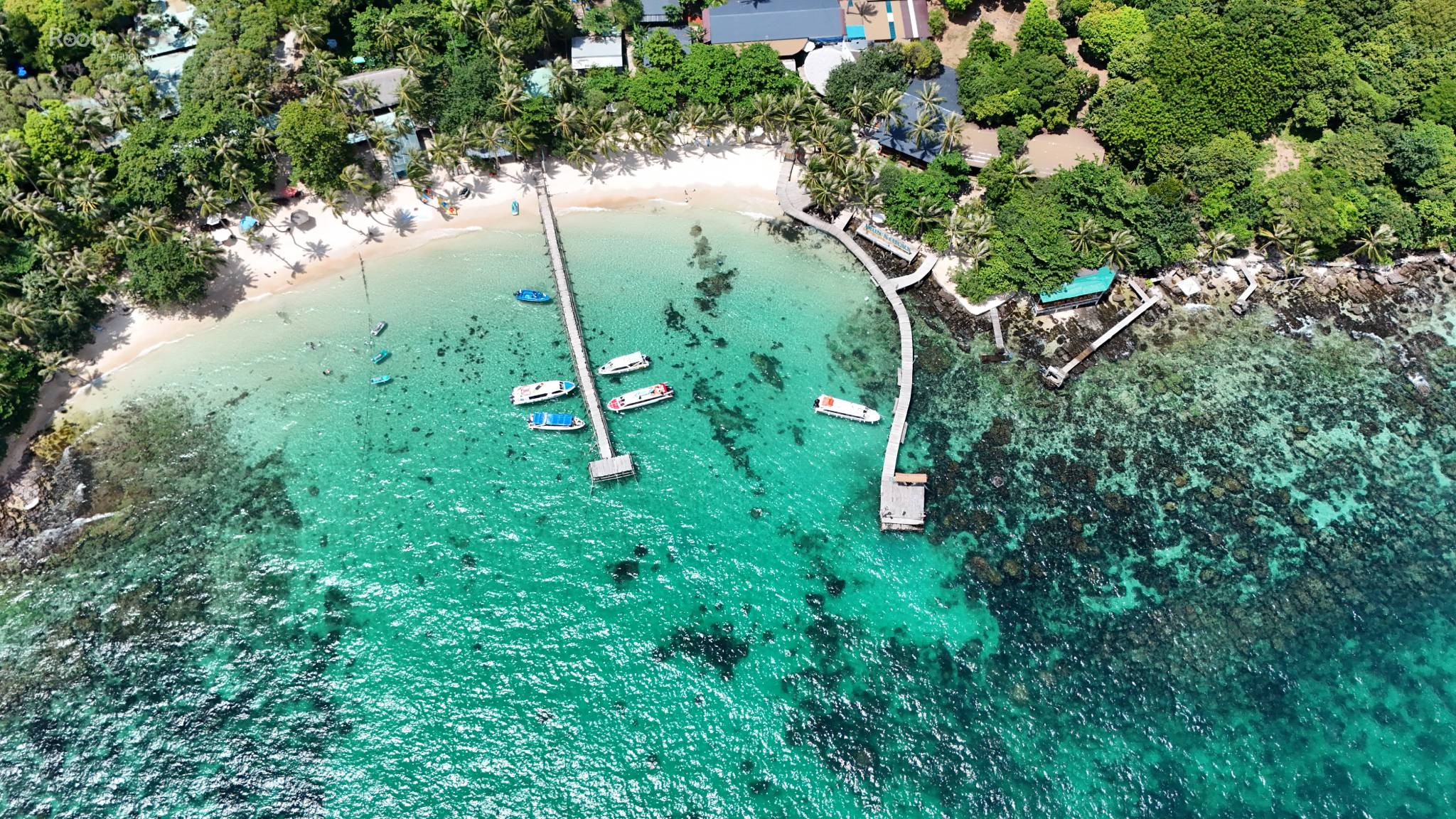 tour đảo cáp treo và buffet hòn thơm