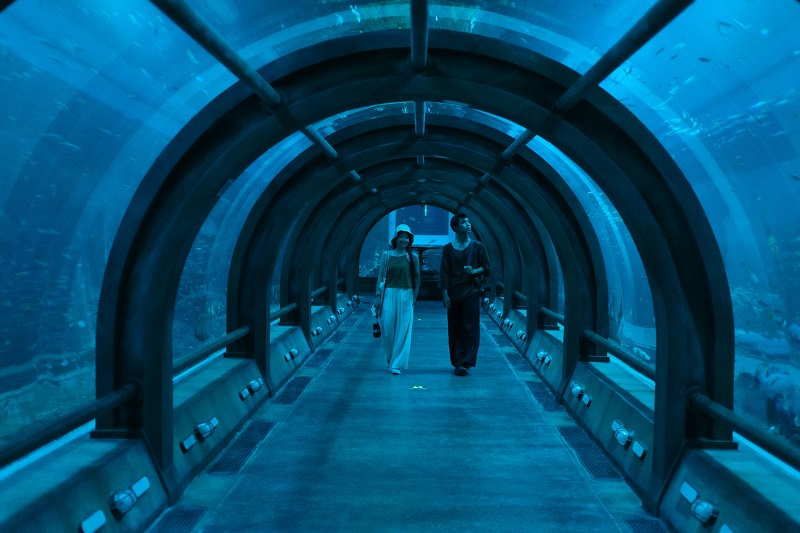 vinwonders phu quoc aquarium