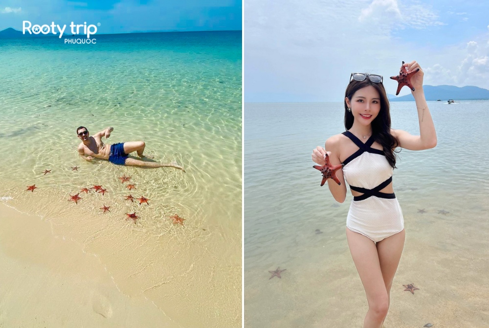 Snap photos with stunning starfish at Ham Rong Cape - Rooty Trip Phu Quoc