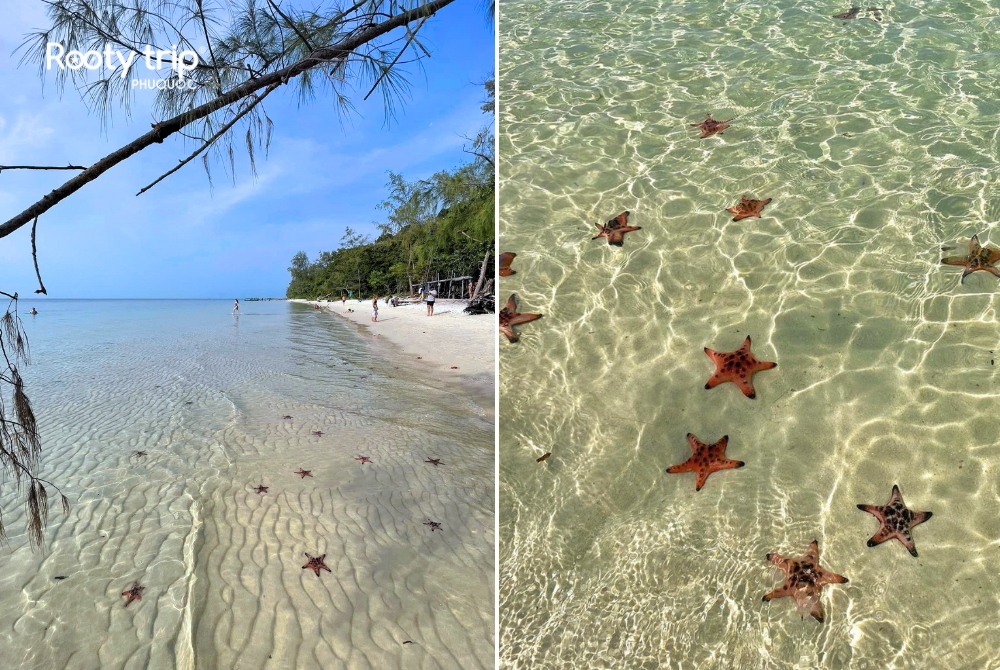 Experience the peaceful and unspoiled seascape on our Rach Vem Fishing Village Tour - Rooty Trip Phu Quoc