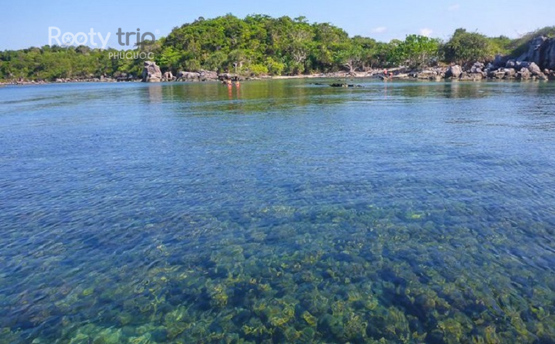 Best coral snorkeling spots in Phu Quoc