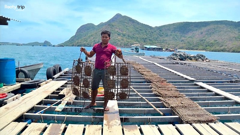 làng chài hàm ninh