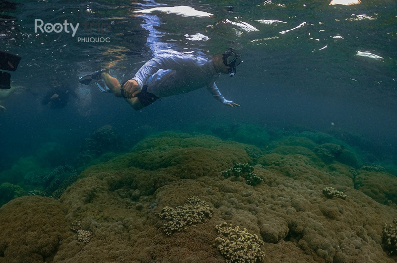 Best islands for snorkeling in Phu Quoc