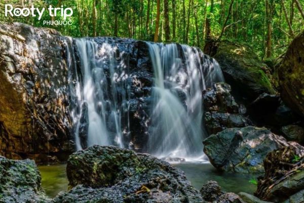 Discover the majestic natural beauty of Phu Quoc's painting stream in the 4-day 3-night all-inclusive Da Nang - Phu Quoc Tour by Rootytrip Phu Quoc