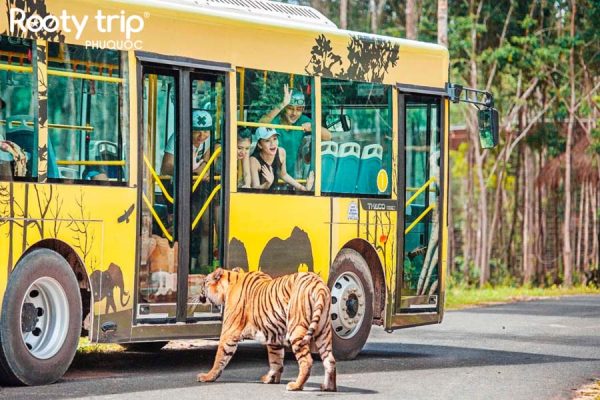 Explore the wild world and encounter rare animal species at Vinpearl Safari Phu Quoc included in the 4-day 3-night Phu Quoc Tour package departing from Ho Chi Minh City
