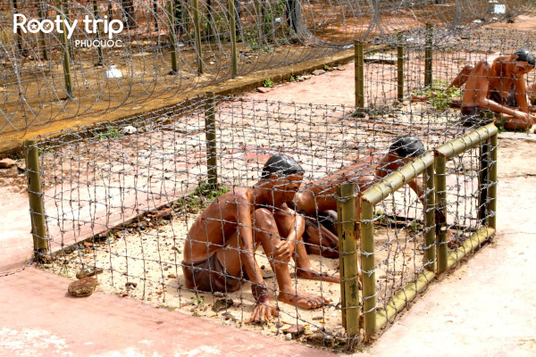 Barbed wire tiger cages