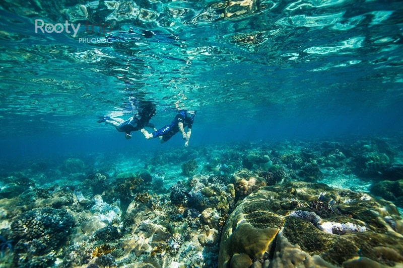 tour Phú Quốc 1 ngày bao nhiêu tiền