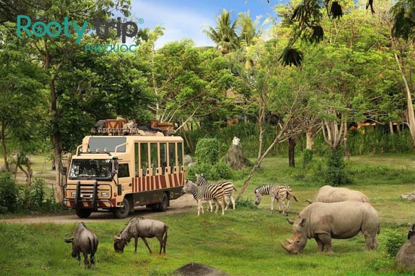 Visitors explore Vinpearl Safari, a wildlife conservation park in Phu Quoc 