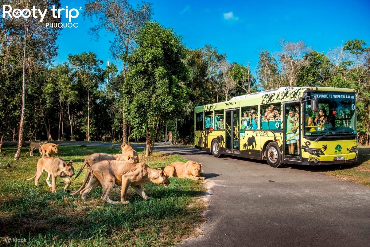công viên vinpearl safari phú quốc