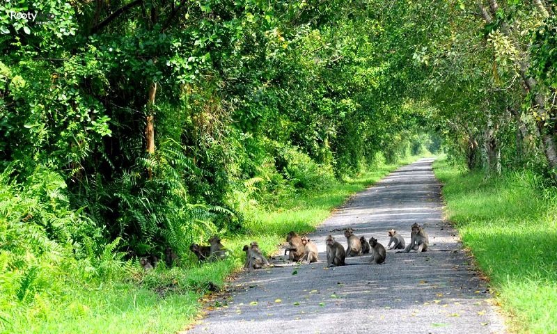 phu quoc national park