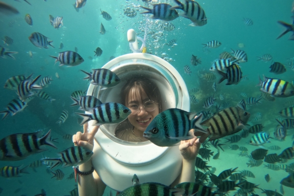 Hình ảnh chụp cảnh dưới đáy biển tại Công viên Ocean Pearl Phú Quốc