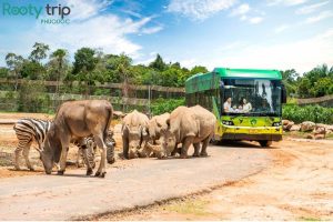 du lịch vườn thú safari phú quốc