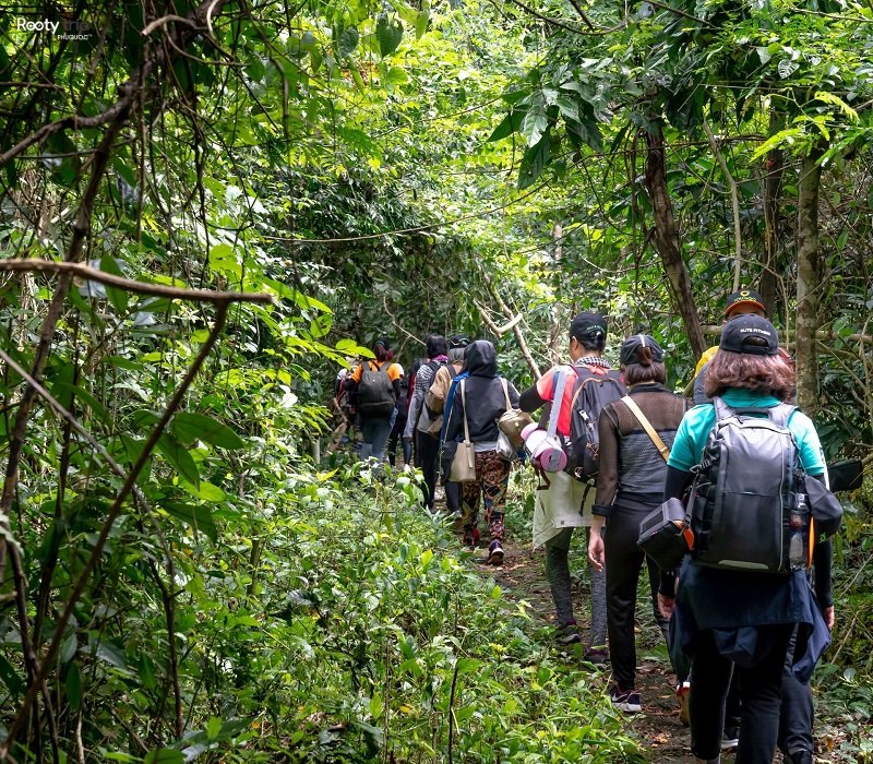 phu quoc national park