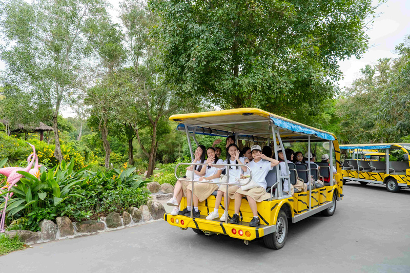 explore the zoo by buggy