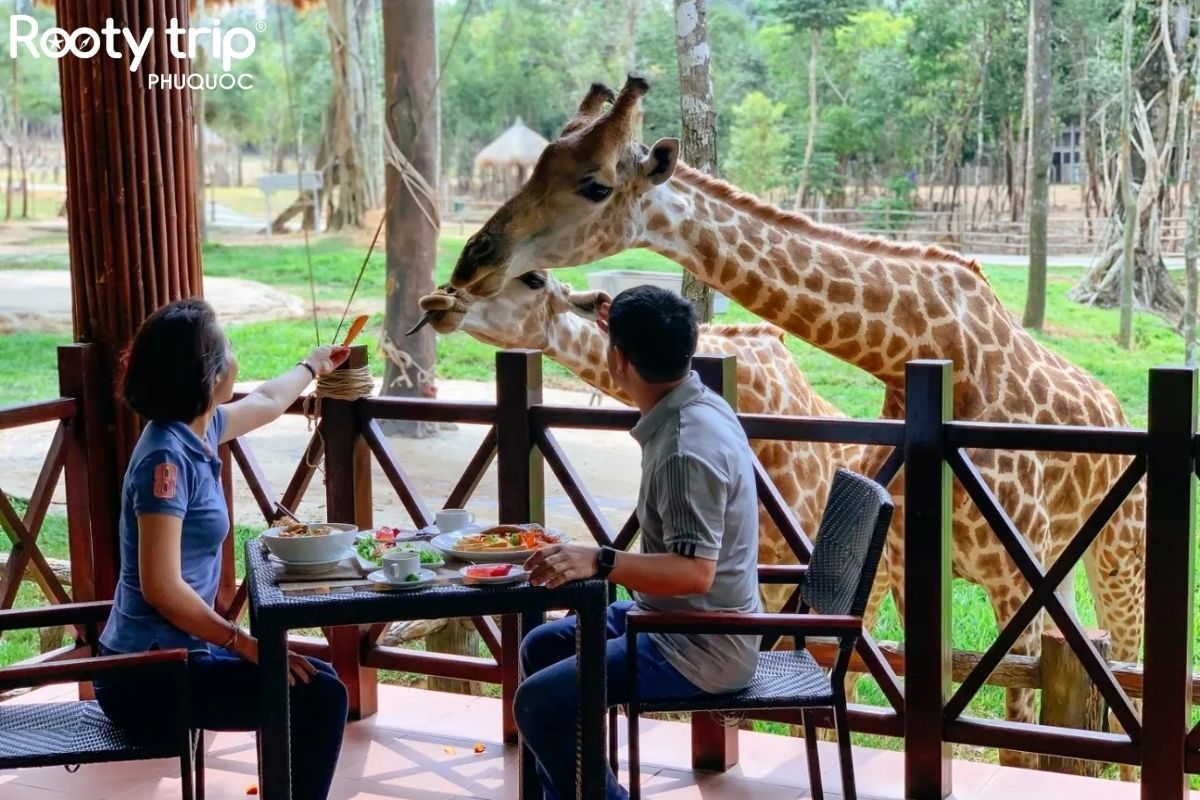 gia đình đang ăn tại nhà hàng giraffe