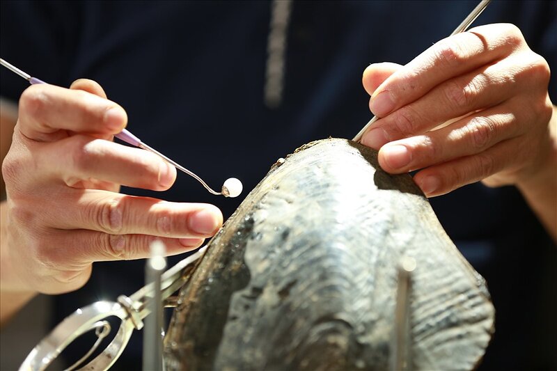 inserting a nucleus into pearl oyster