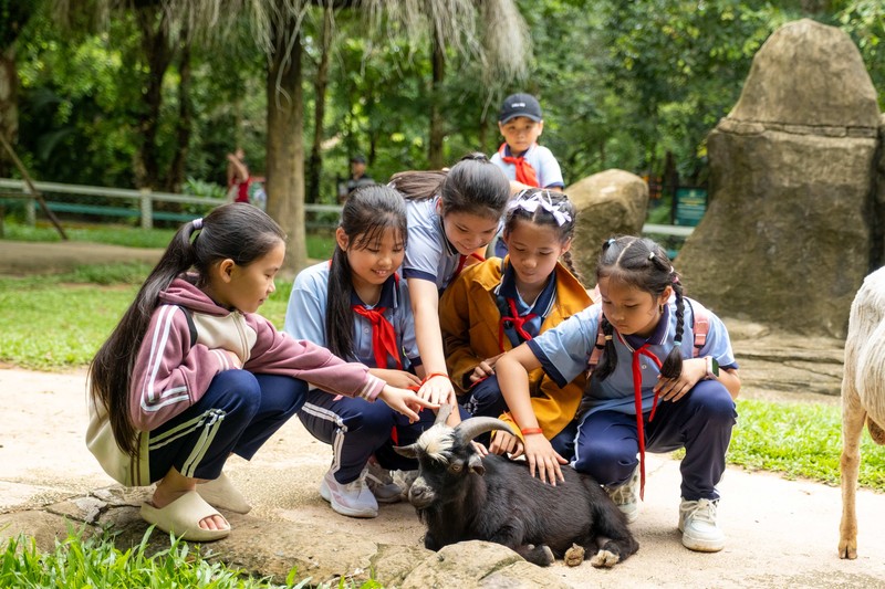 junior zoo keeper experience