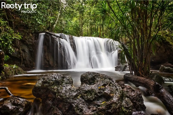 Hình ảnh chụp một thác nước nhỏ đổ xuống trắng xóa giữa núi rừng xanh mát ở Suối Tranh Phú Quốc