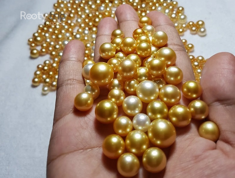 ngọc trai phú quốc