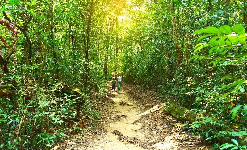 phu quoc national park