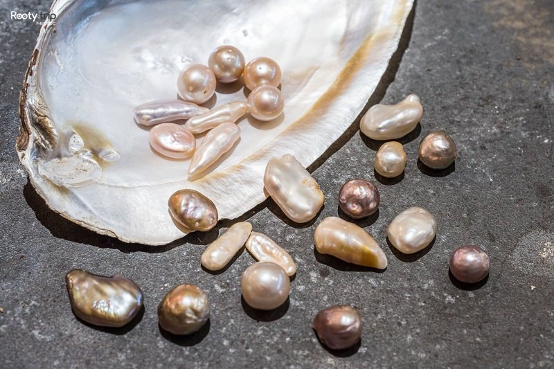 phu quoc pearls