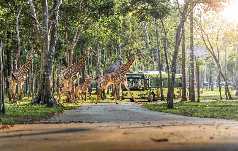 Prisoning people and releasing animals tour