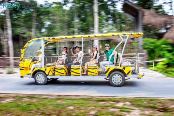 Tham quan khu vực Vườn thú mở bằng xe điện Zoo Buggy 