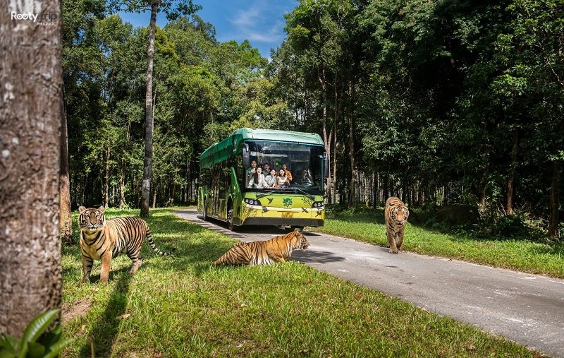 vinpearl safari phú quốc