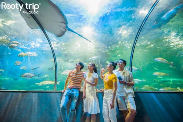 Friends check in super realistic at the aquarium tunnel